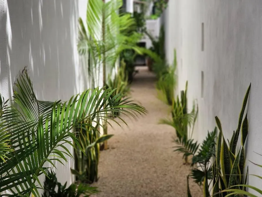 Amazing Jungle Retreat Lahkah Tulum Apartment Mexico