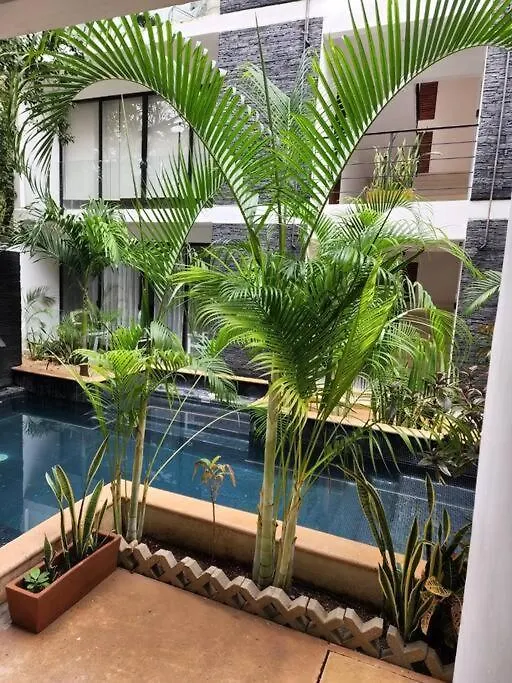 Amazing Jungle Retreat Lahkah Tulum Apartment