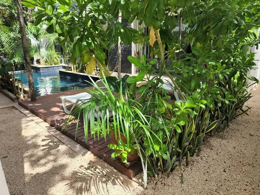 Amazing Jungle Retreat Lahkah Tulum Apartment